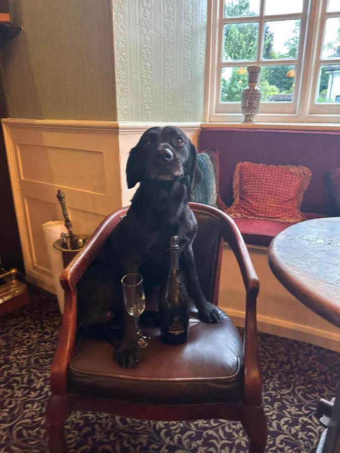 The Cricketers Inn Martyr Worthy Esterno foto